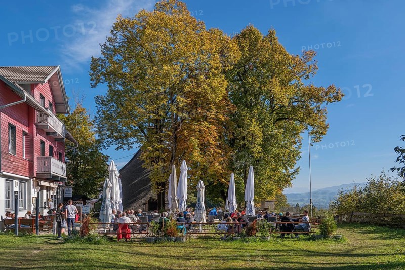 Restaurant and beer garden at Mariaberg with autumnal chestnut trees