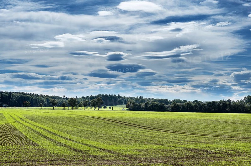 Foehn clouds