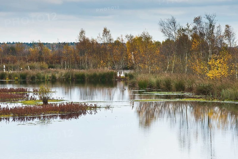 Autumn moorland