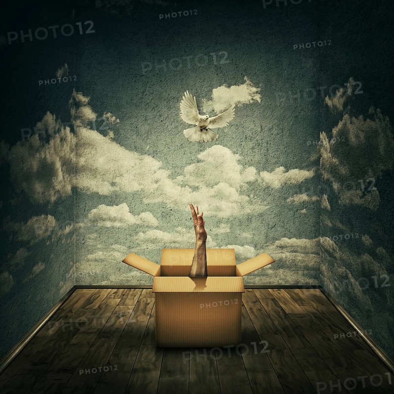 Surreal idea as a magical cardboard box opened