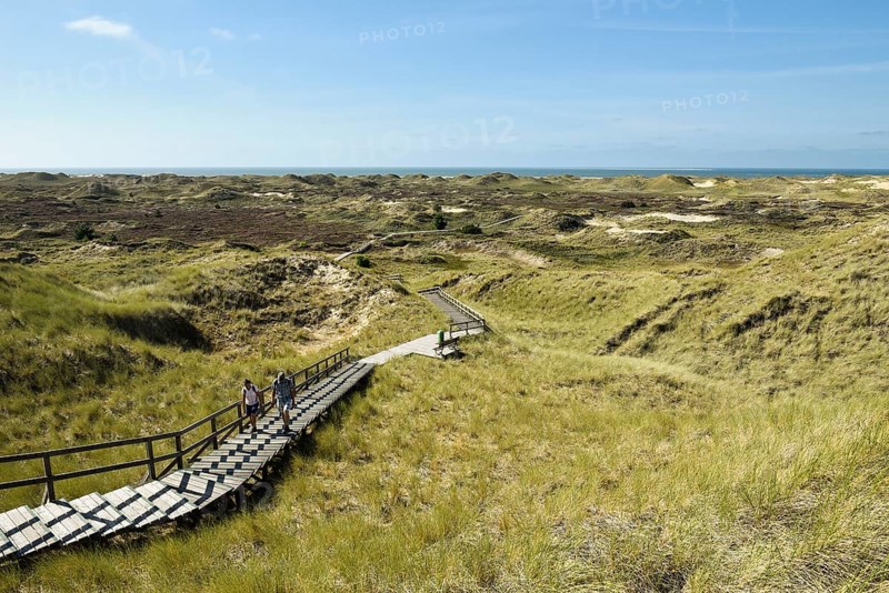 Boardwalks with trefoils