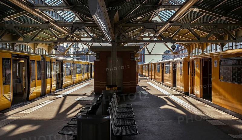 Trains at the terminus