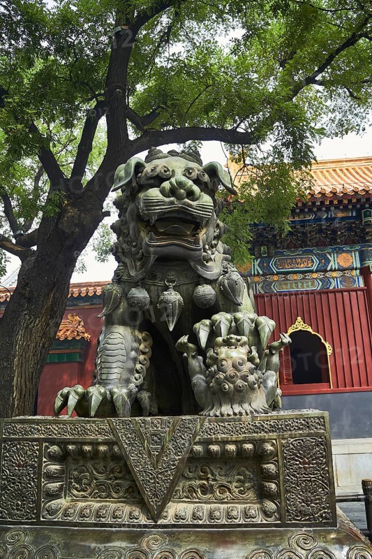 Dragon figure in the Llama Temple