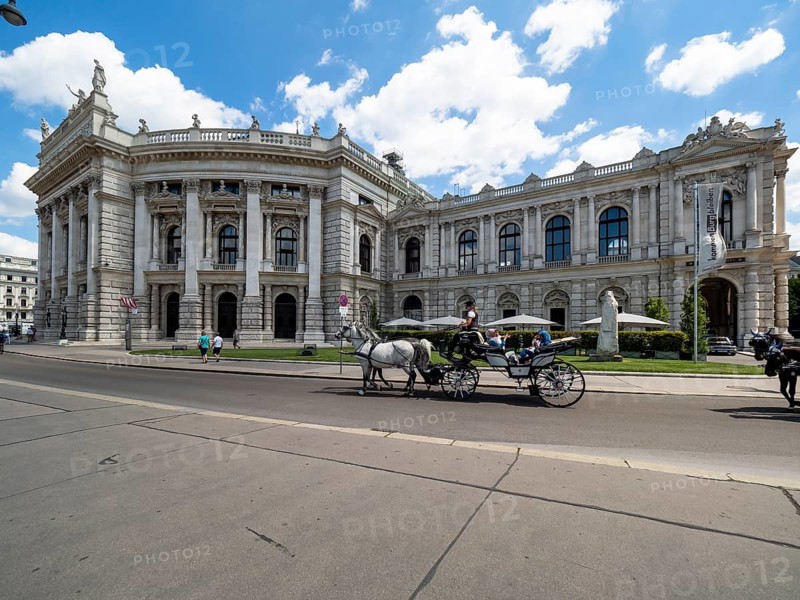 Fiaker in front of the Burgtheater