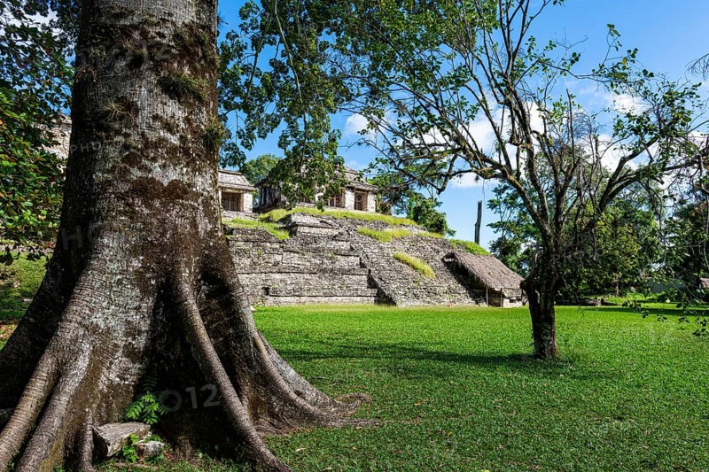 Unesco world heritage site the Maya ruins of Palenque