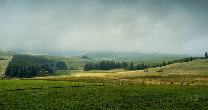 Cezallier plateau in the Auvergne volcanoes regional natural park