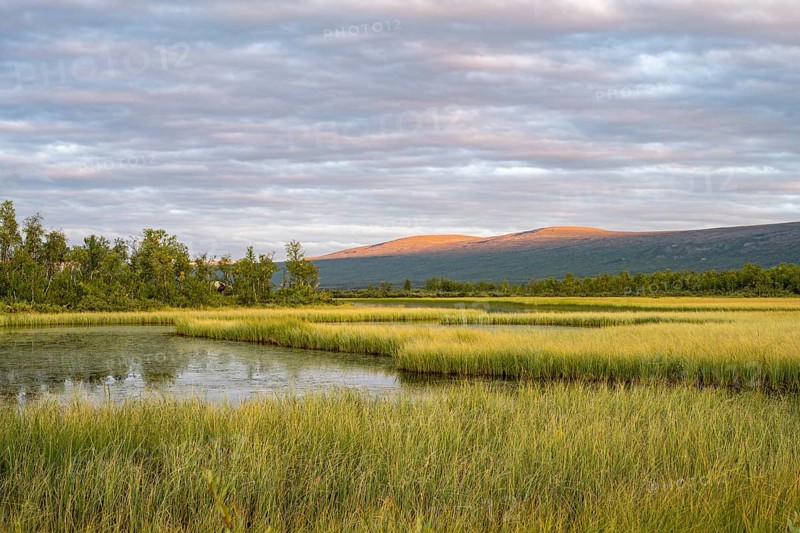View of Lake Paittasjaervi from Nikkaluokta