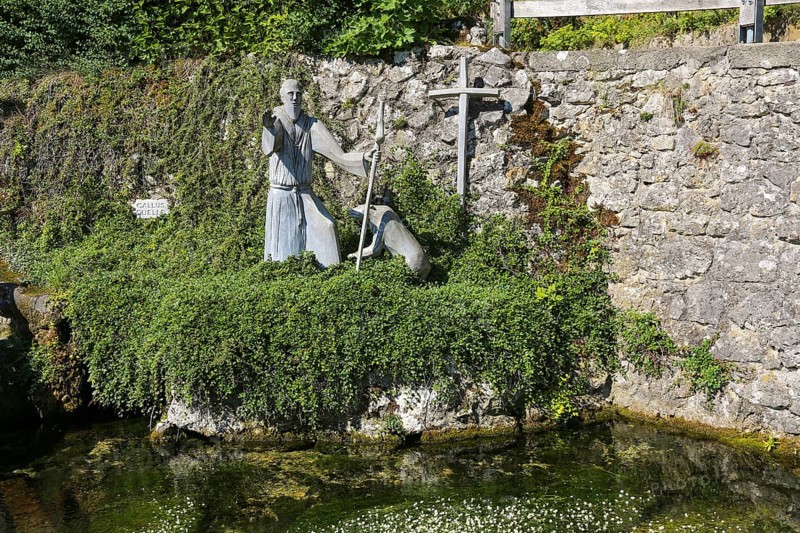 Gallus spring
