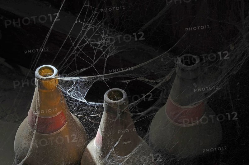 Beer bottles in cobwebs
