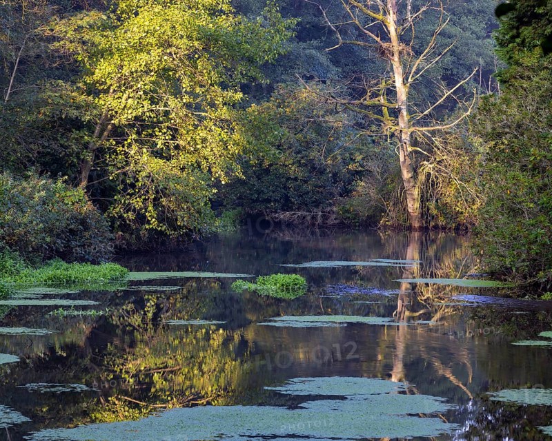 Old arm of the Schwalm
