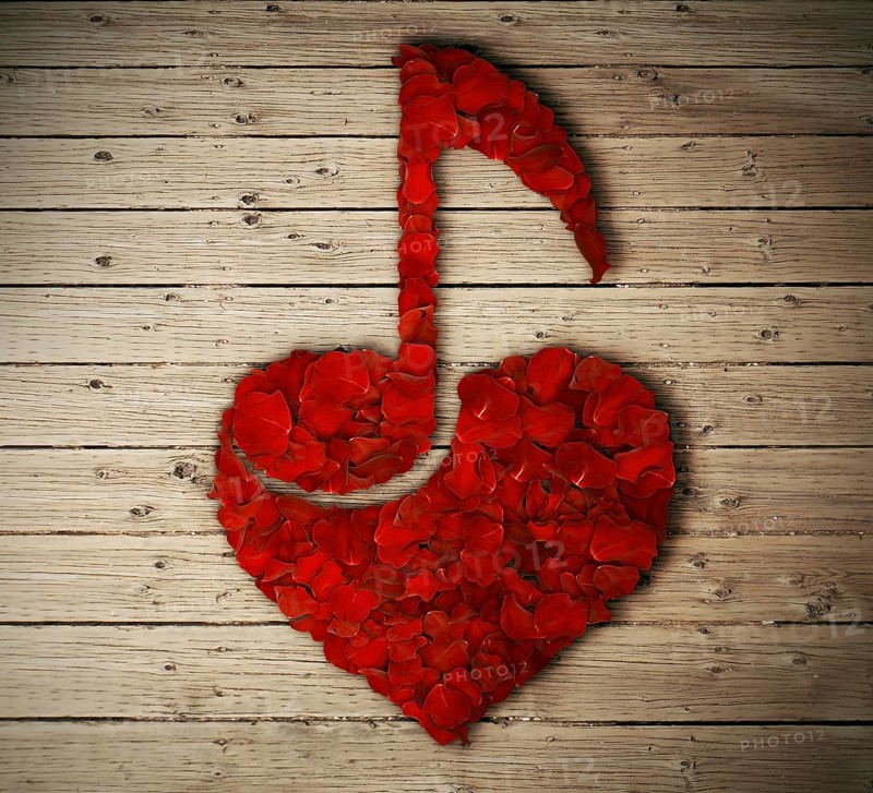 Red rose petals