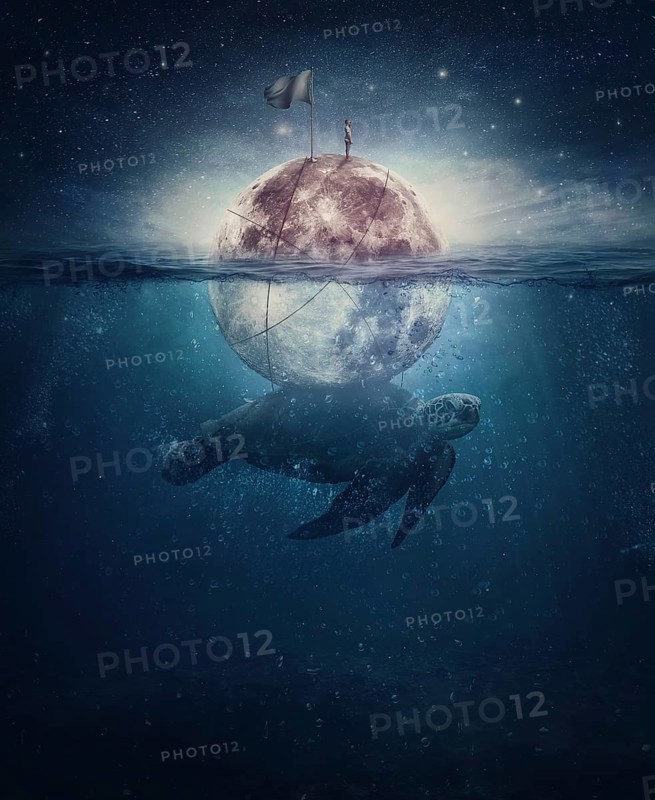 Surreal scene with a turtle