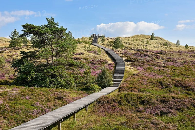 Boardwalk on the Sueddorf viewing dune