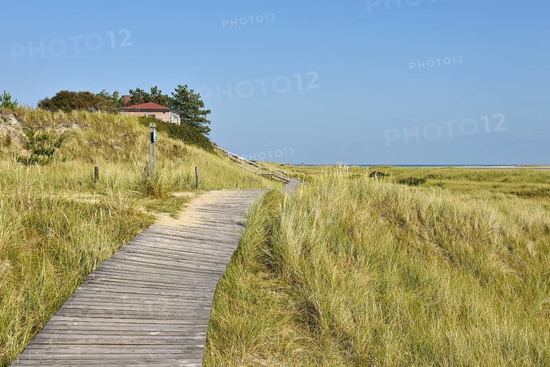 Dune paths near Wittduen