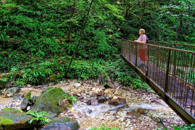 Bridge