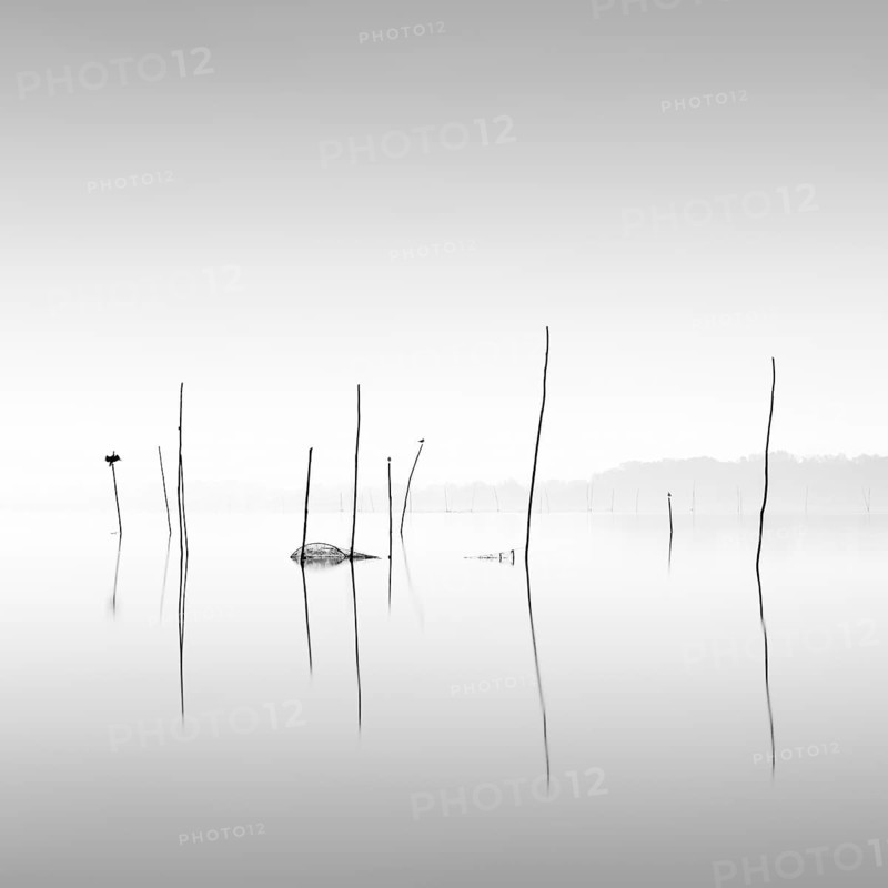 Minimalist piles of flooded fishing nets and fish traps on Lake Trasimeno