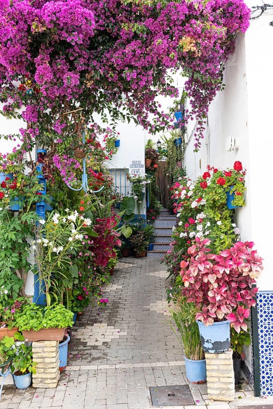 Barrio de los pescadores