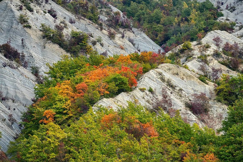 Casentinesi Forests NP