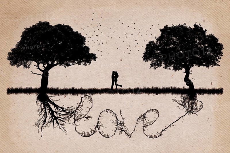 Two trees in front of each other growing in love relationship and romance concept with underground roots merge together in shape of love word