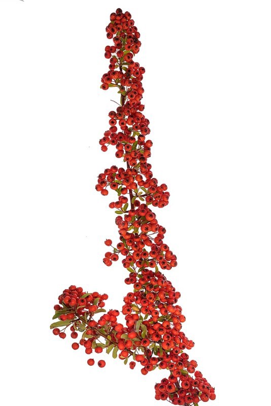 Firethorn