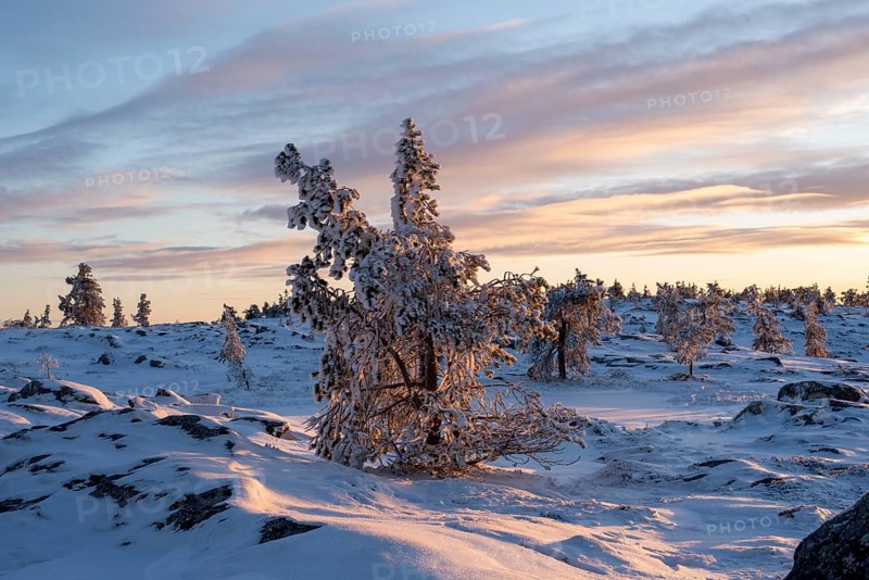 Saerkitunturi