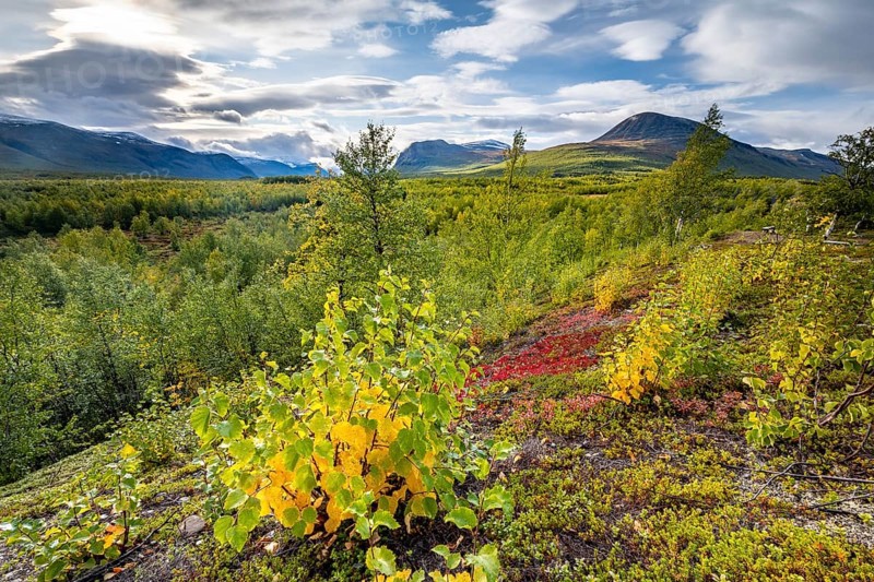 Autumnal fell landscape