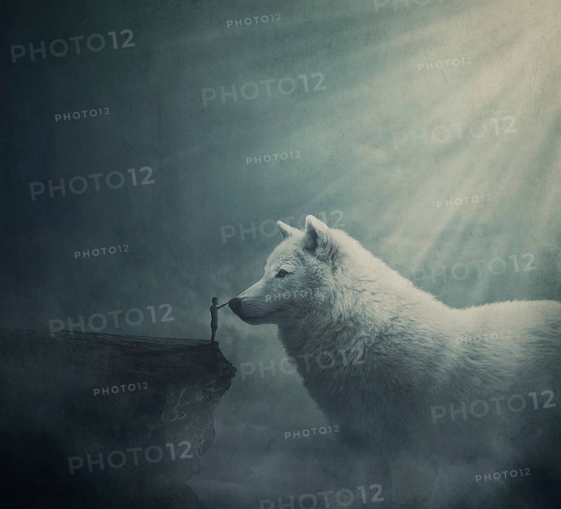 Surreal dreamland scene with a person on the edge of a cliff try to get in touch with a huge white wolf