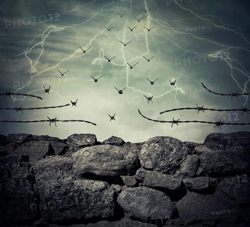 Stone wall fence of a prison with barbed metallic wire on top transform into flying birds over the lightning sky background