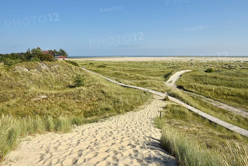 Dune paths near Wittduen
