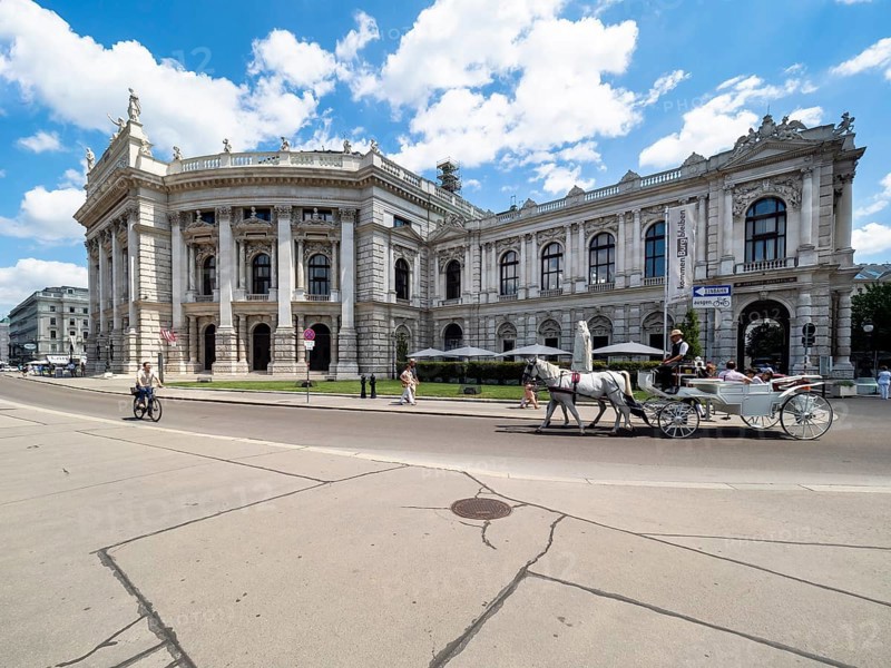 Fiaker in front of the Burgtheater