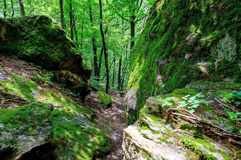 Descent through the Nussental