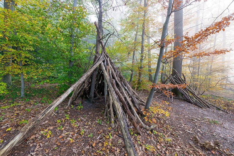 Tipi
