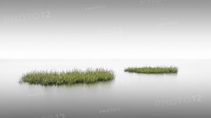 Grass islands on the tidal flats near Keitum on Sylt