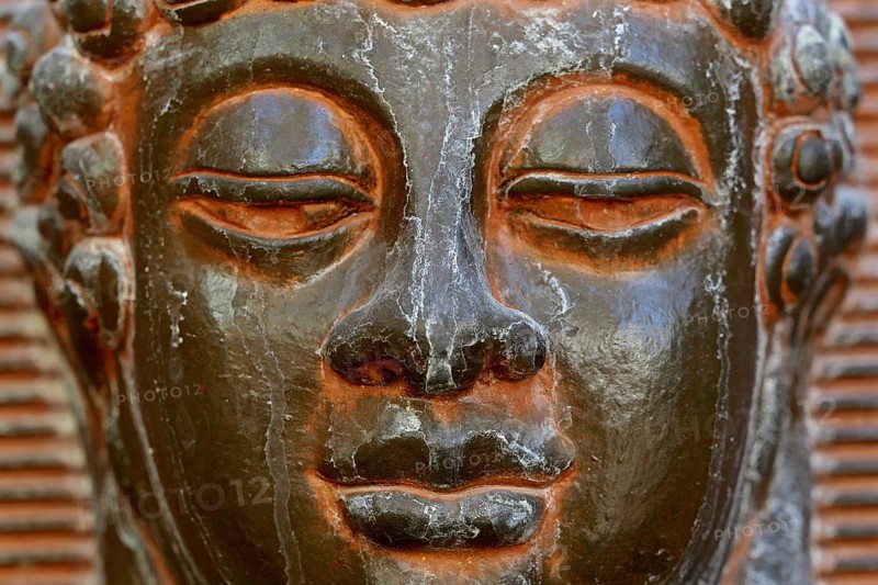 Buddha head statue