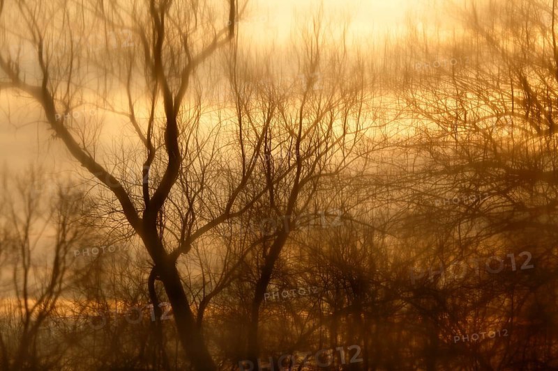 Reflection of trees in an oxbow lake in winter at sunrise