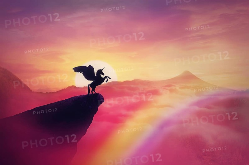 Wild pegasus silhouette on a cliff edge against a pink paradise sunset