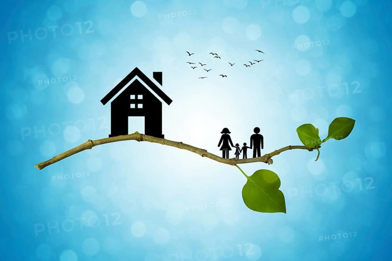 Tree branch with silhouettes of house and family
