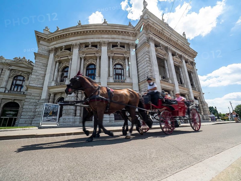 Fiaker in front of the Burgtheater
