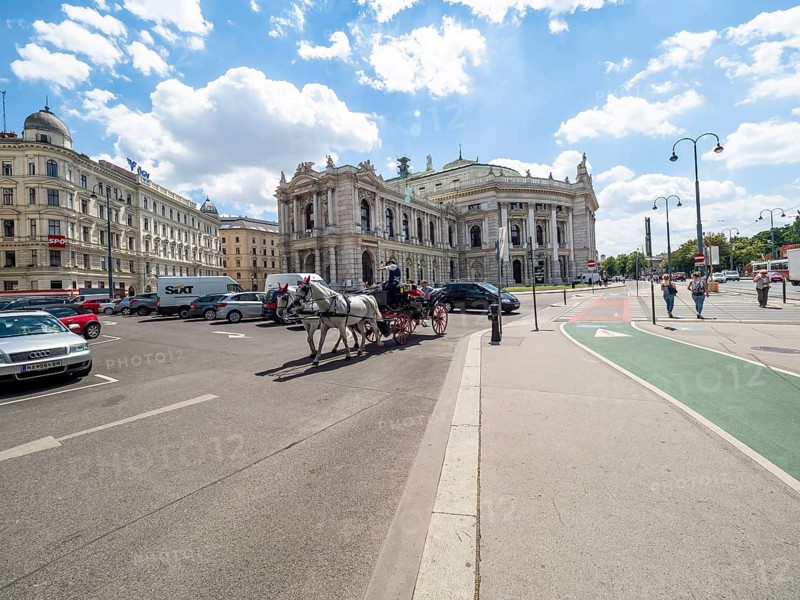 Fiaker in front of the Burgtheater