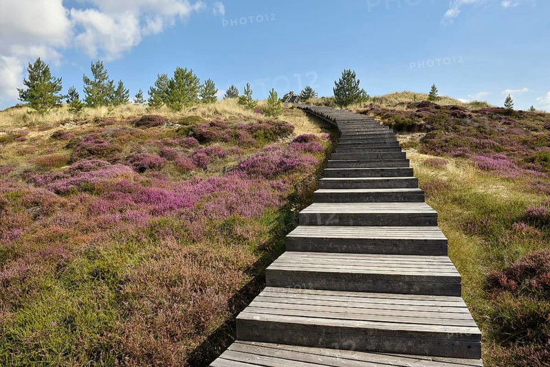 Boardwalk on the Sueddorf viewing dune