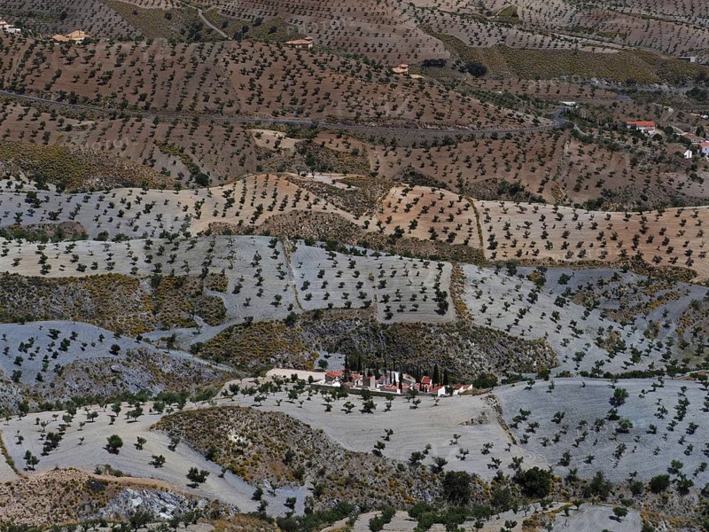 Cemetery