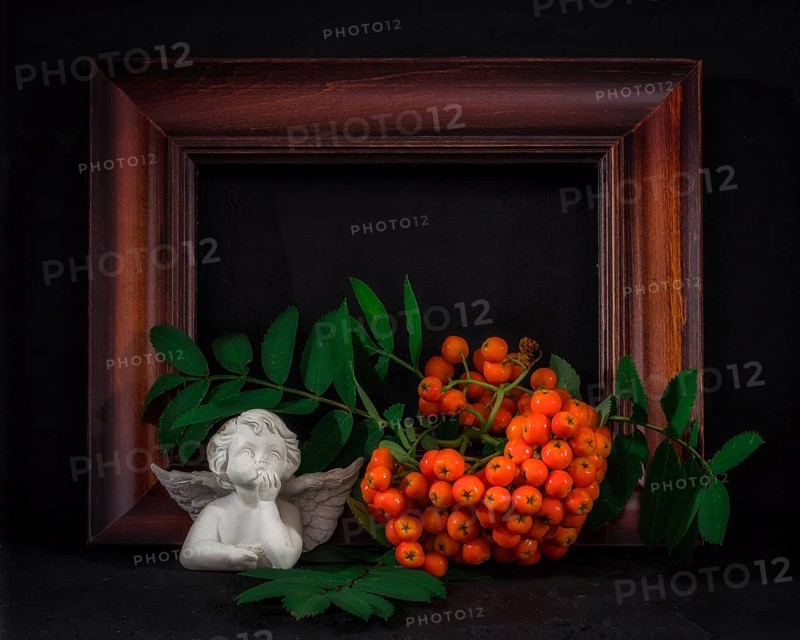 Still Life with Wooden Frame