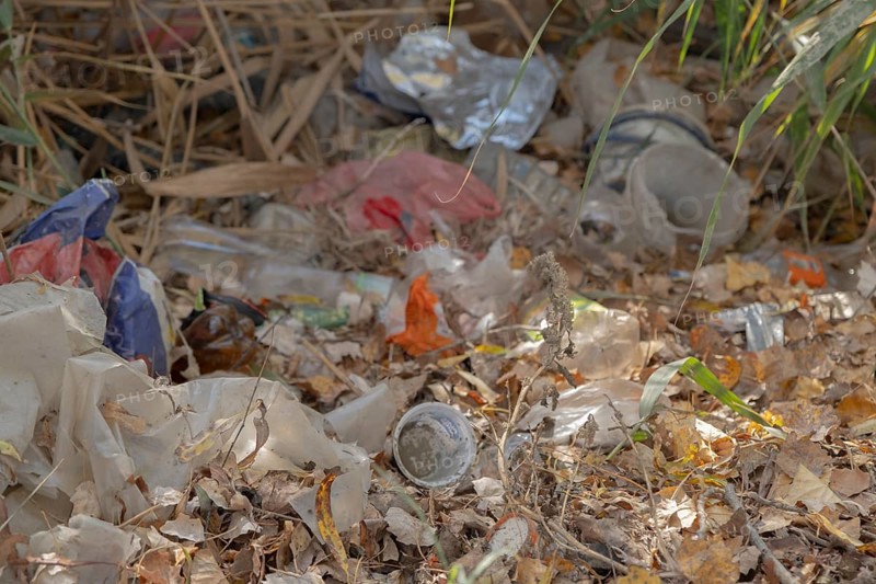 Discarded plastic bottles and other garbage in a meadow in the shore zone