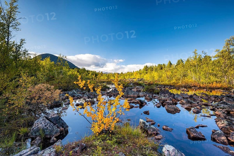 Autumn landscape in the Visttasjohka river delta