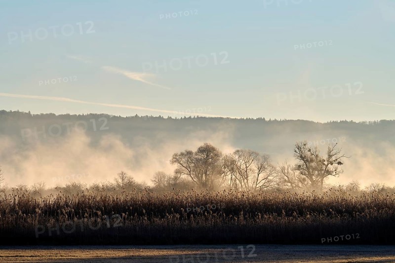 Lake Ammer in the morning with fog