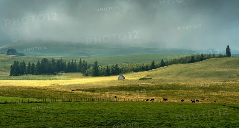 Cezallier plateau in the Auvergne volcanoes regional natural park