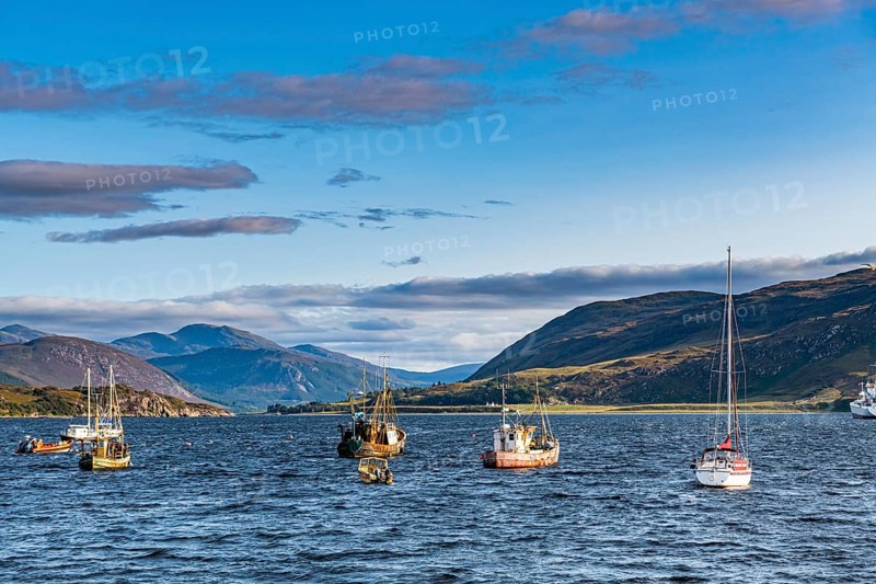 Fishing boats