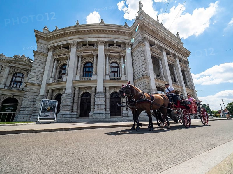 Fiaker in front of the Burgtheater