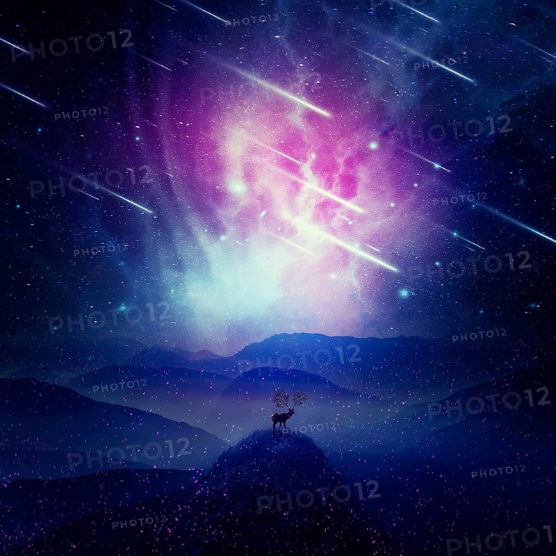 Majestic deer with long horns as tree branches stand on the peak of a rocky valley below a wonderful night sky with falling stars and sparkles