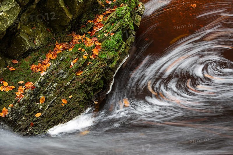 Mountain stream La Hoegne